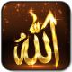 Site icon